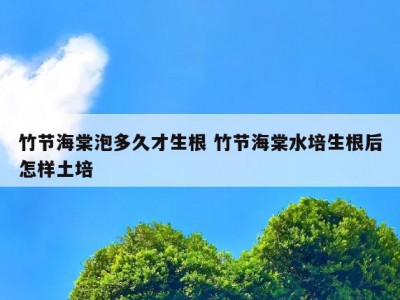 竹节海棠泡多久才生根 竹节海棠水培生根后怎样土培