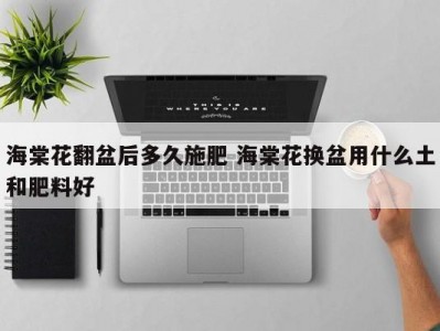 海棠花翻盆后多久施肥 海棠花换盆用什么土和肥料好