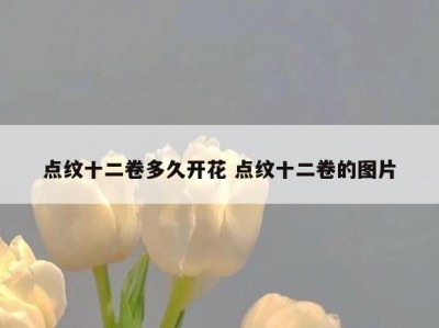 点纹十二卷多久开花 点纹十二卷的图片