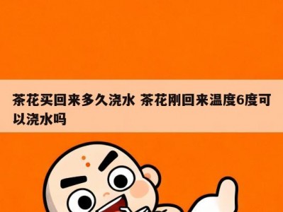 茶花买回来多久浇水 茶花刚回来温度6度可以浇水吗