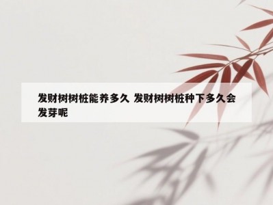 发财树树桩能养多久 发财树树桩种下多久会发芽呢