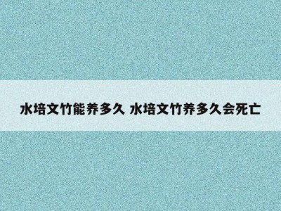 水培文竹能养多久 水培文竹养多久会死亡