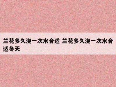 兰花多久浇一次水合适 兰花多久浇一次水合适冬天