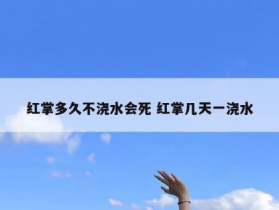 红掌多久不浇水会死 红掌几天一浇水