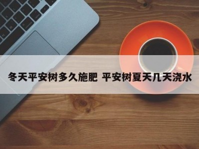 冬天平安树多久施肥 平安树夏天几天浇水