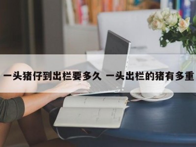 一头猪仔到出栏要多久 一头出栏的猪有多重
