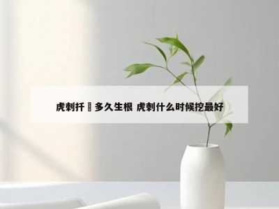 虎刺扦揷多久生根 虎刺什么时候挖最好