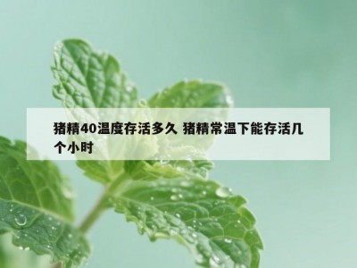 猪精40温度存活多久 猪精常温下能存活几个小时