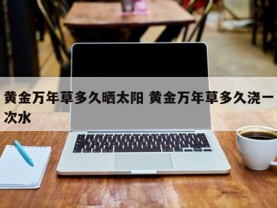 黄金万年草多久晒太阳 黄金万年草多久浇一次水