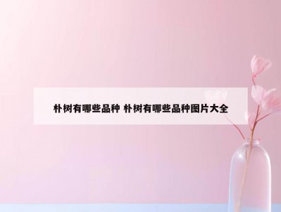 朴树有哪些品种 朴树有哪些品种图片大全