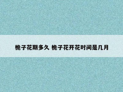 桅子花期多久 桅子花开花时间是几月
