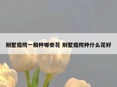 别墅庭院一般种哪些花 别墅庭院种什么花好