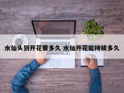 水仙头到开花要多久 水仙开花能持续多久