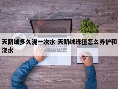 天鹅绒多久浇一次水 天鹅绒绿植怎么养护和浇水