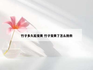 竹子多久能变黄 竹子变黄了怎么挽救
