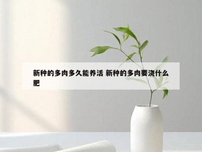 新种的多肉多久能养活 新种的多肉要浇什么肥