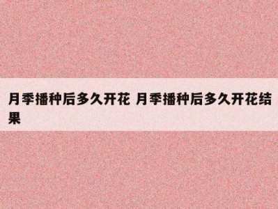 月季播种后多久开花 月季播种后多久开花结果