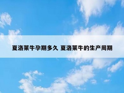 夏洛莱牛孕期多久 夏洛莱牛的生产周期