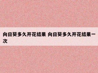 向日葵多久开花结果 向日葵多久开花结果一次