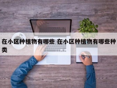 在小区种植物有哪些 在小区种植物有哪些种类