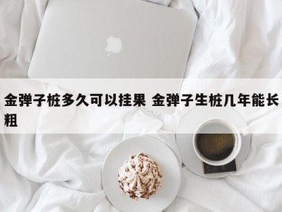 金弹子桩多久可以挂果 金弹子生桩几年能长粗