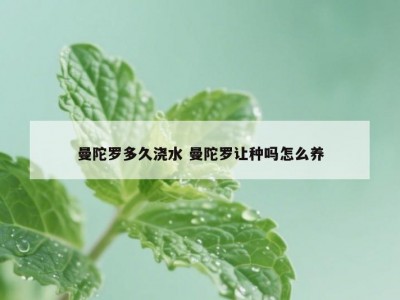 曼陀罗多久浇水 曼陀罗让种吗怎么养