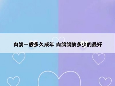 肉鸽一般多久成年 肉鸽鸽龄多少的最好