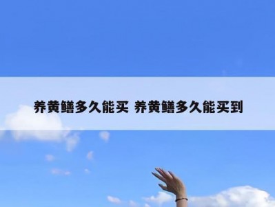 养黄鳝多久能买 养黄鳝多久能买到