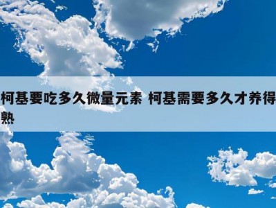 柯基要吃多久微量元素 柯基需要多久才养得熟