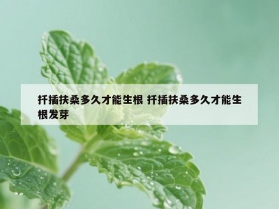 扦插扶桑多久才能生根 扦插扶桑多久才能生根发芽