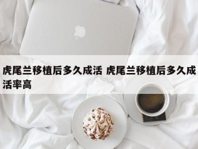 虎尾兰移植后多久成活 虎尾兰移植后多久成活率高