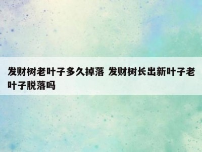 发财树老叶子多久掉落 发财树长出新叶子老叶子脱落吗