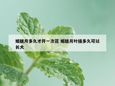 姬胧月多久才开一次花 姬胧月叶插多久可以长大