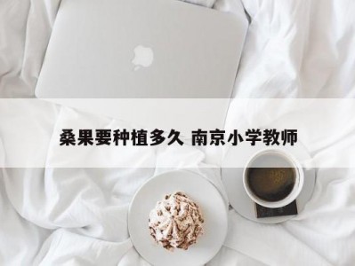 桑果要种植多久 南京小学教师