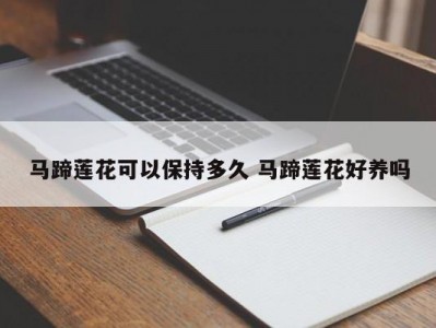 马蹄莲花可以保持多久 马蹄莲花好养吗