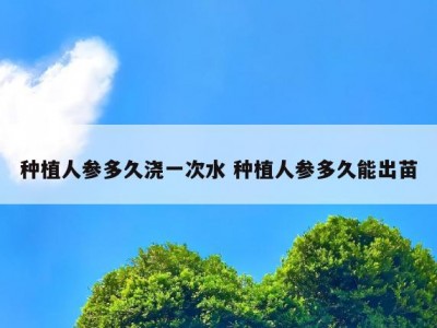 种植人参多久浇一次水 种植人参多久能出苗