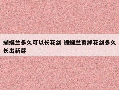 蝴蝶兰多久可以长花剑 蝴蝶兰剪掉花剑多久长出新芽
