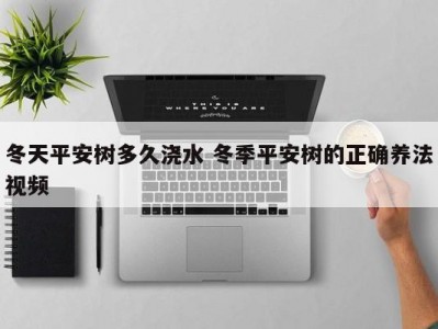 冬天平安树多久浇水 冬季平安树的正确养法视频