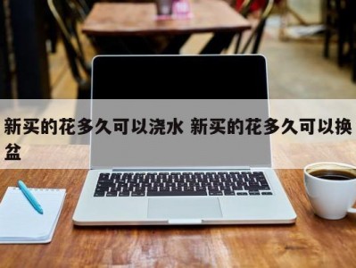 新买的花多久可以浇水 新买的花多久可以换盆
