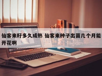 仙客来籽多久成熟 仙客来种子出苗几个月能开花啊