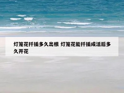 灯笼花扦插多久出根 灯笼花能扦插成活后多久开花