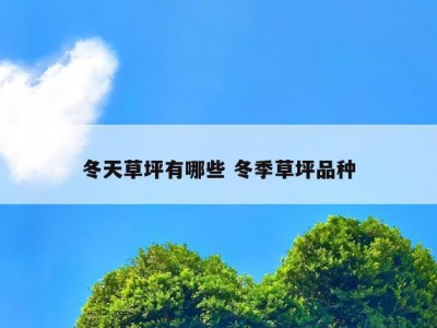 冬天草坪有哪些 冬季草坪品种