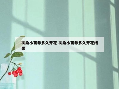 扶桑小苗养多久开花 扶桑小苗养多久开花结果