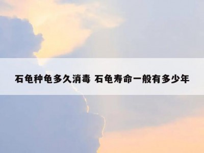 石龟种龟多久消毒 石龟寿命一般有多少年