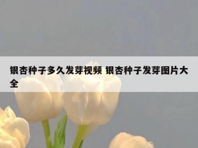 银杏种子多久发芽视频 银杏种子发芽图片大全