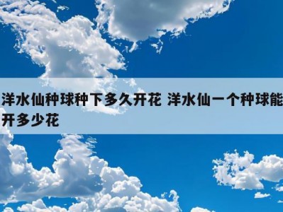 洋水仙种球种下多久开花 洋水仙一个种球能开多少花