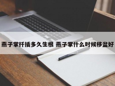 燕子掌扦插多久生根 燕子掌什么时候移盆好