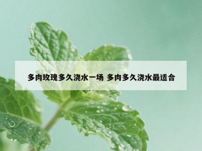 多肉玫瑰多久浇水一场 多肉多久浇水最适合