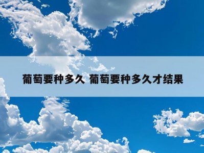 葡萄要种多久 葡萄要种多久才结果