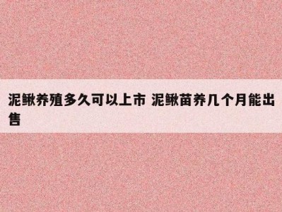泥鳅养殖多久可以上市 泥鳅苗养几个月能出售